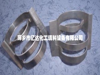 Stainless steel conjugate ring packing