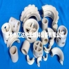 Ceramic Conjugate Ring Packing